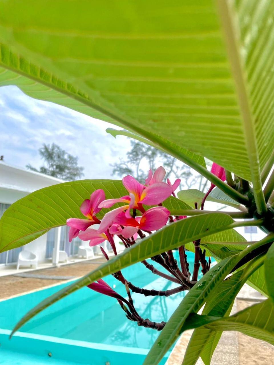 Bari Loft Resort *